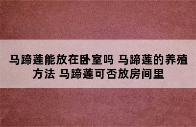 马蹄莲能放在卧室吗 马蹄莲的养殖方法 马蹄莲可否放房间里